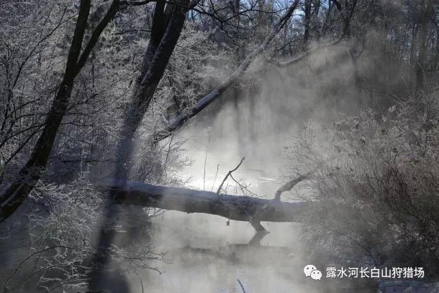 武动乾坤