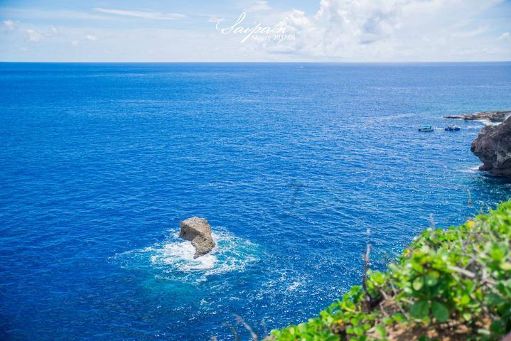 蝴蝶领结
